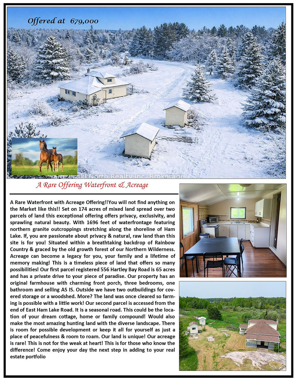 Happy St. Paddy's Day 8