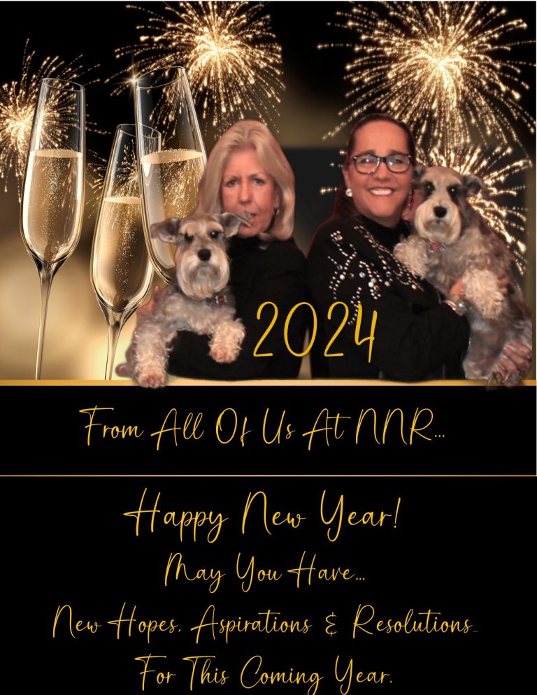 Narozanski North Real Estate Brokerage in Northern Ontario