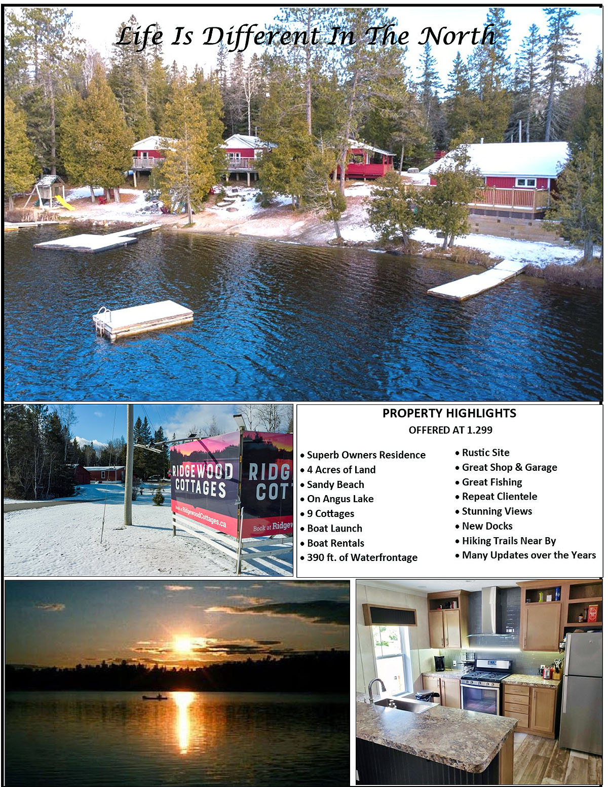 Happy St. Paddy's Day 10