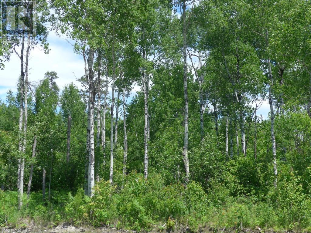 Land Of The Silver Birch …, Home Of The Beaver!, Ontario    - Photo 4 - 40168997