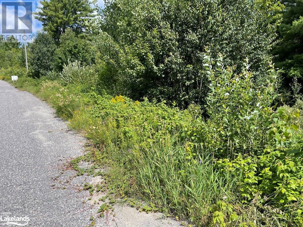 Lot 6 Riverview Drive, Alban, Ontario  P0M 1A0 - Photo 6 - 40462202