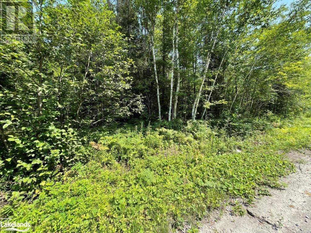 0 North Channel Camp Road, Noëlville, Ontario  P0M 2N0 - Photo 2 - 40466024