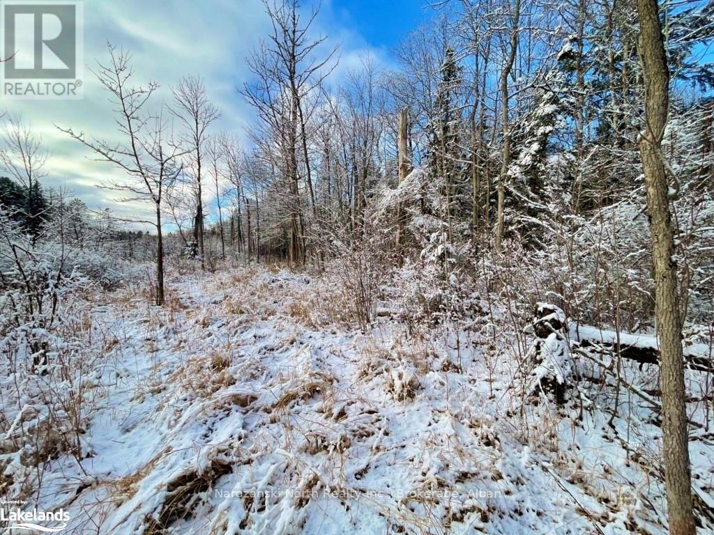 Lot 3 Lemieux Road, West Nipissing, Ontario  P0M 2K0 - Photo 2 - X10438308