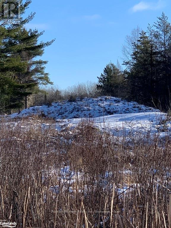 Lot 25 Delamere Road, French River, Ontario  P0M 1A0 - Photo 4 - X10438142