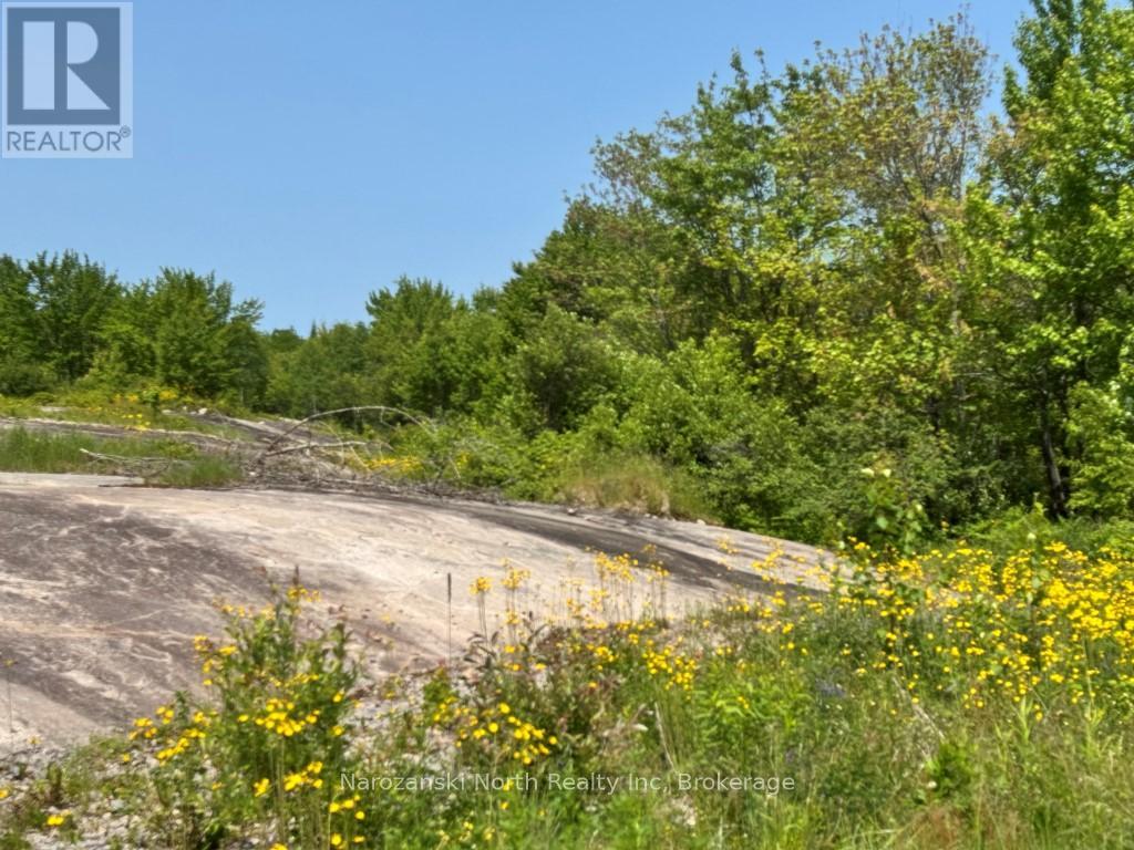 615 Labre Road, St. Charles, Ontario  P0M 2W0 - Photo 17 - X12084921