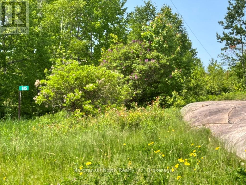 615 Labre Road, St. Charles, Ontario  P0M 2W0 - Photo 20 - X12084921