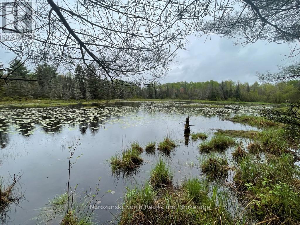 556 Hartley Bay Road, Killarney, Ontario  P0M 1A0 - Photo 6 - X12171366