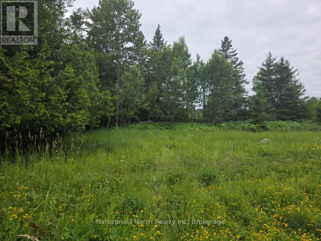1119 BLUE ROAD, Central Manitoulin, Ontario