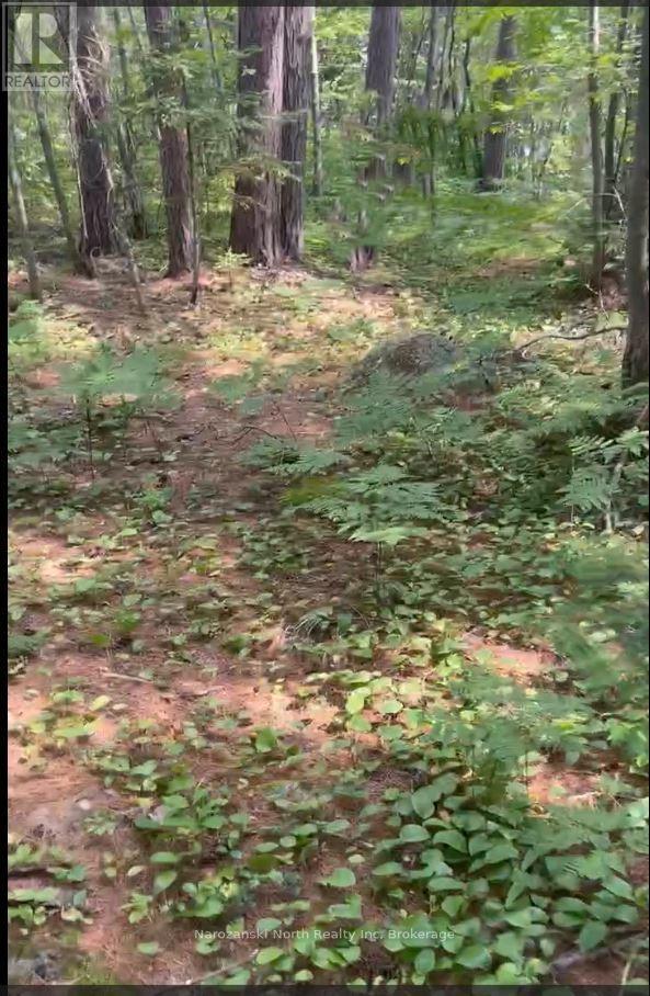 99 B Zettler Bay Road, French River, Ontario  P0M 2N0 - Photo 36 - X12309424