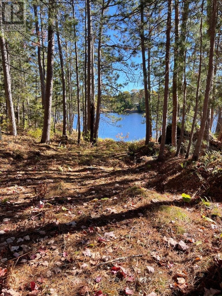 1096 East Road E, West Nipissing, Ontario  K6H 5R5 - Photo 22 - X12468845