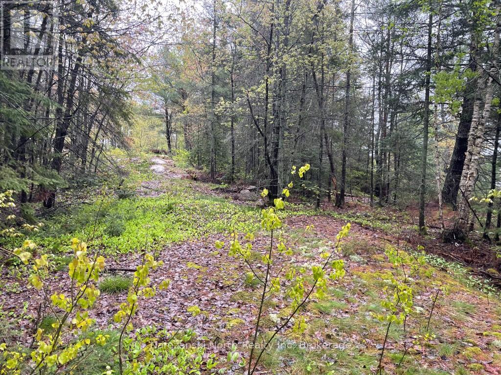 556 Hartley Bay Road, Killarney, Ontario  P0M 1A0 - Photo 23 - X12529968