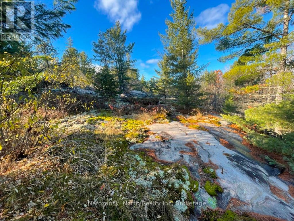 100 C Whippoorwill Road, French River, Ontario  P0M 1A0 - Photo 32 - X12546766