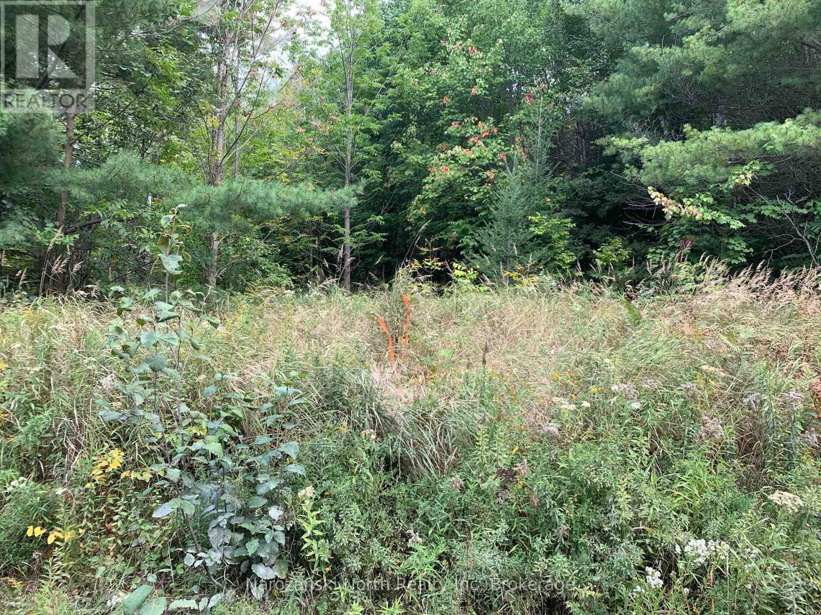 Part 3 Prevost Road, French River, Ontario  P0M 2N0 - Photo 12 - X12940470