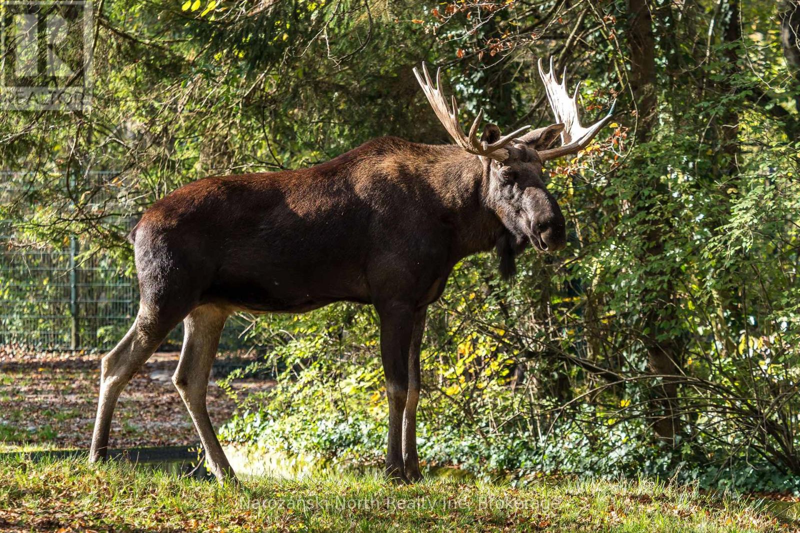 Lot 2 Prevost Road, French River, Ontario  P0M 2N0 - Photo 7 - X12940470