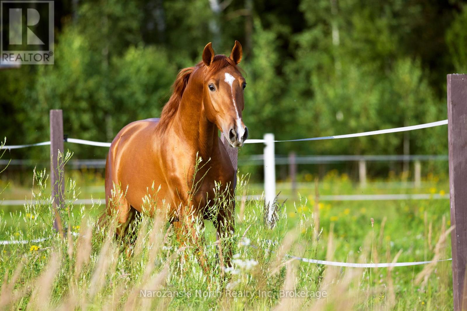 Lot 4 Prevost Road, French River, Ontario  P0M 2N0 - Photo 5 - X12940618