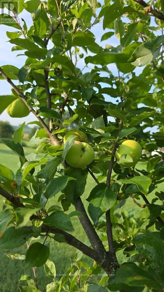 809 Highway 64 Highway, French River, Ontario  P0M 1A0 - Photo 33 - X13045938