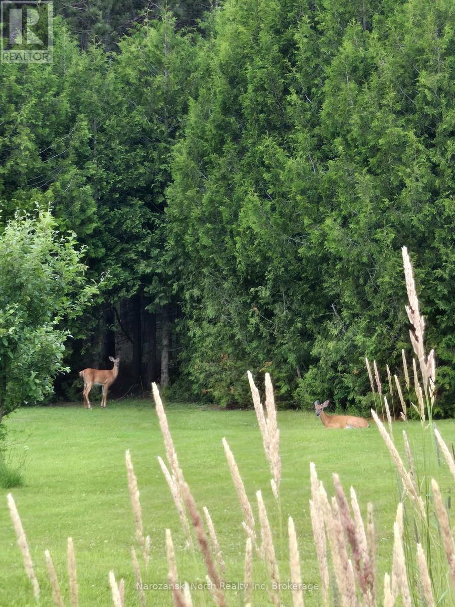 809 Highway 64 Highway, French River, Ontario  P0M 1A0 - Photo 34 - X13045938