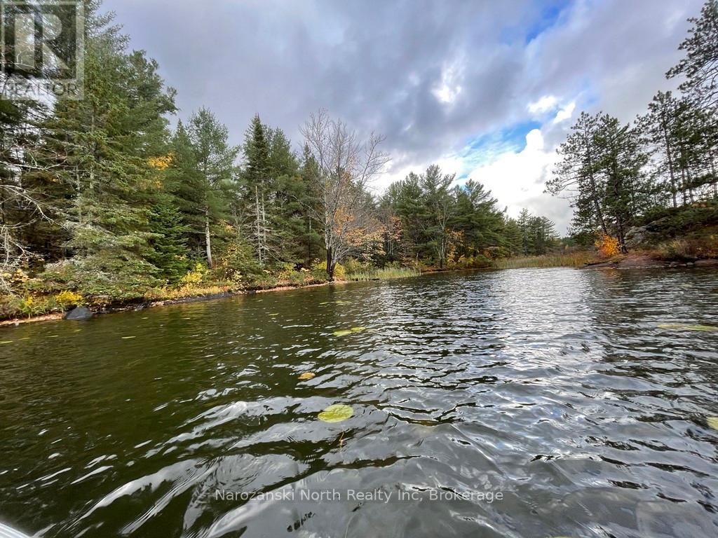 Lot 3 Lemieux Road, West Nipissing, Ontario  P0M 2K0 - Photo 2 - X13446480