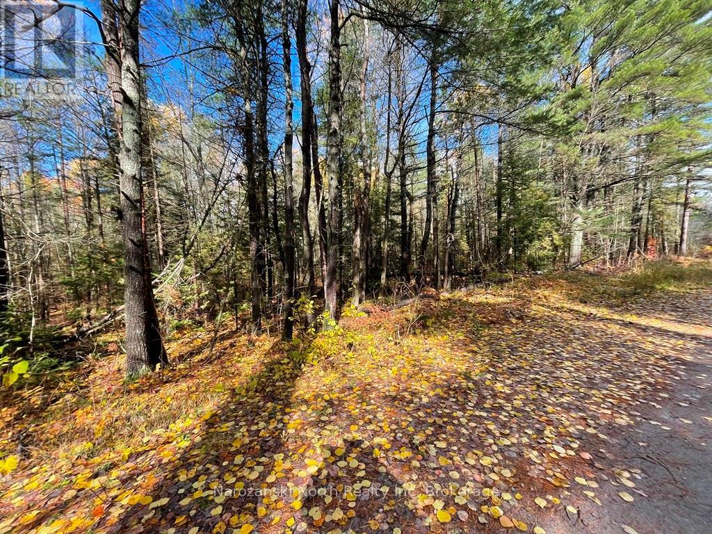 Lot 3 Lemieux Road, West Nipissing, Ontario  P0M 2K0 - Photo 3 - X13446480