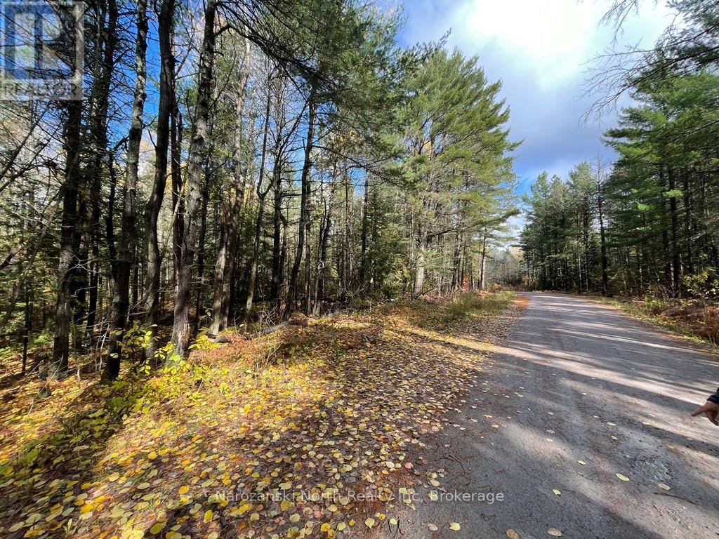 Lot 3 Lemieux Road, West Nipissing, Ontario  P0M 2K0 - Photo 4 - X13446480