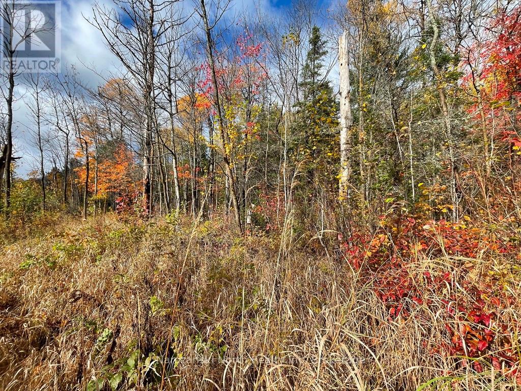 Lot 3 Lemieux Road, West Nipissing, Ontario  P0M 2K0 - Photo 6 - X13446480