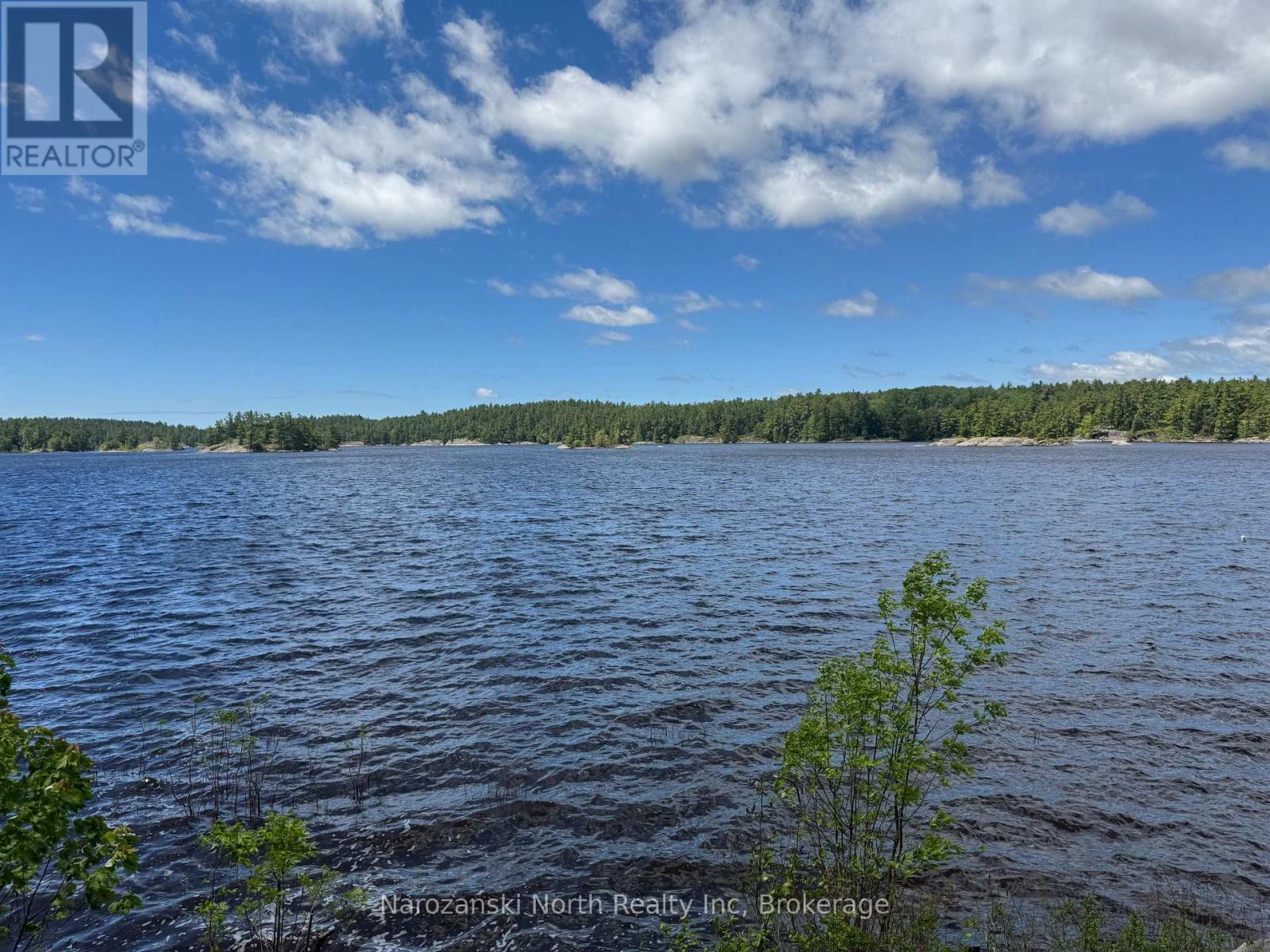Horseshoe Bay Boat Access - Unorganized, Parry Sound Remote Area, Ontario  P0M 1A0 - Photo 19 - X13463964