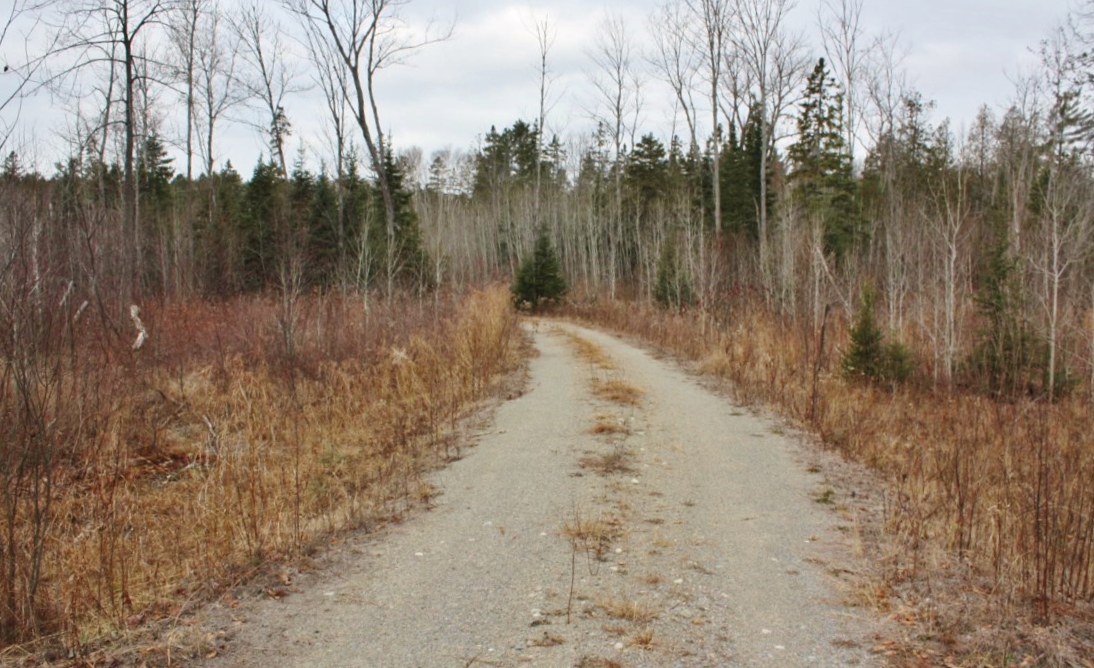 A Marriage Of Acreage With Privacy!, ..., Ontario    - Photo 4 - RP8061565559