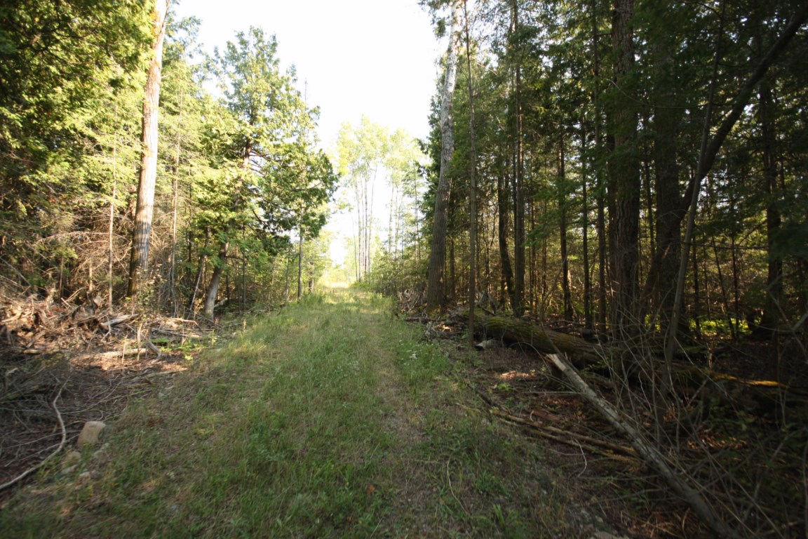 Opportunity Knocks, North Channel !! Lot 15, Ontario    - Photo 4 - RP2483189851