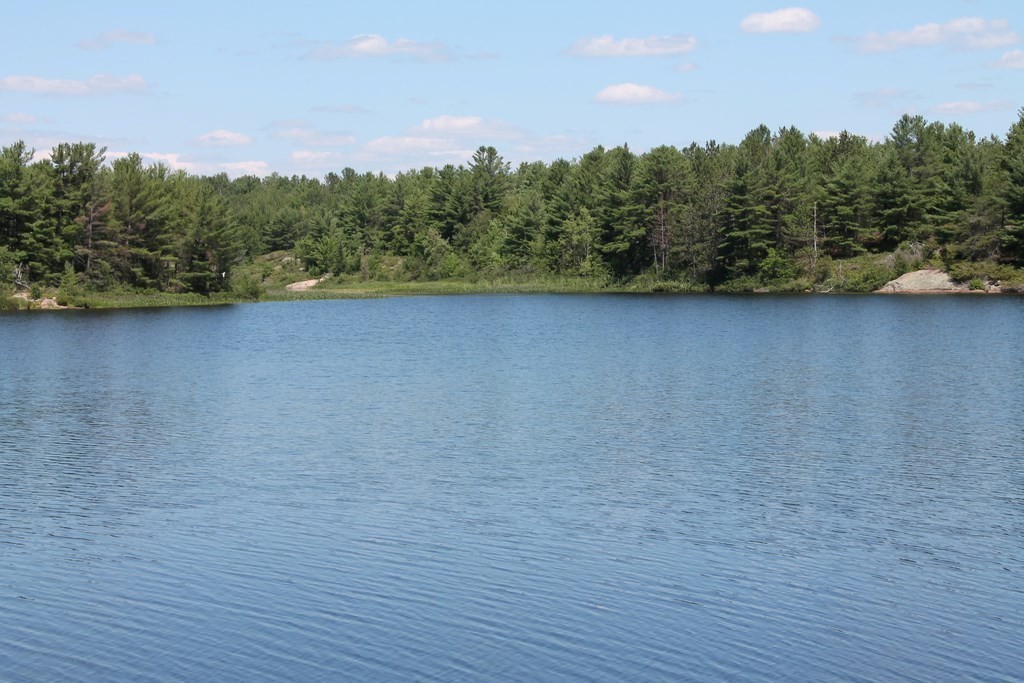556 Hartley Bay Road, Killarney, Ontario  P0M 1A0 - Photo 15 - RP1322490833