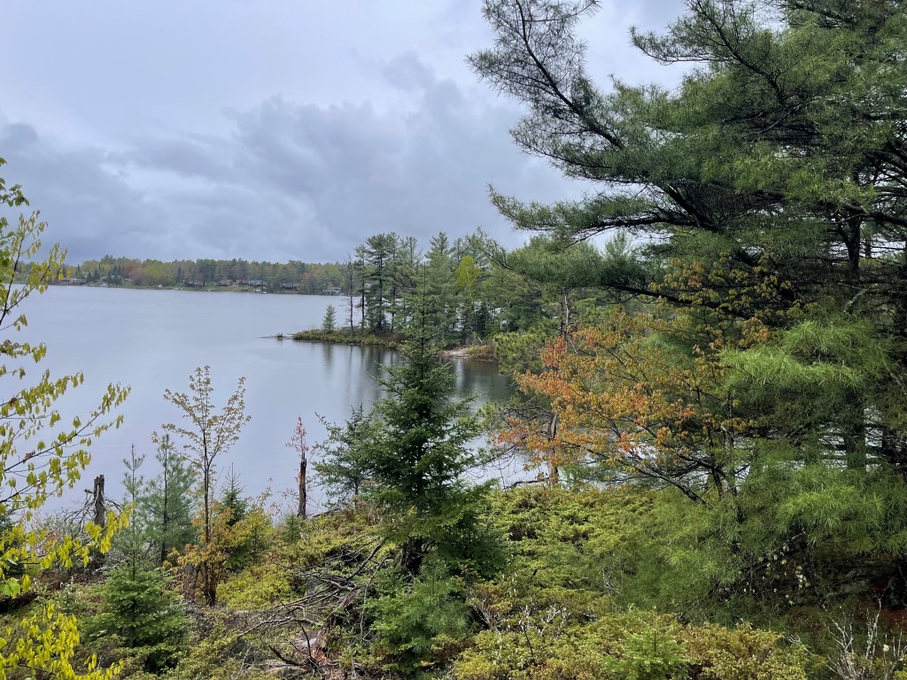 556 Hartley Bay Road, Killarney, Ontario  P0M 1A0 - Photo 22 - RP1322490833