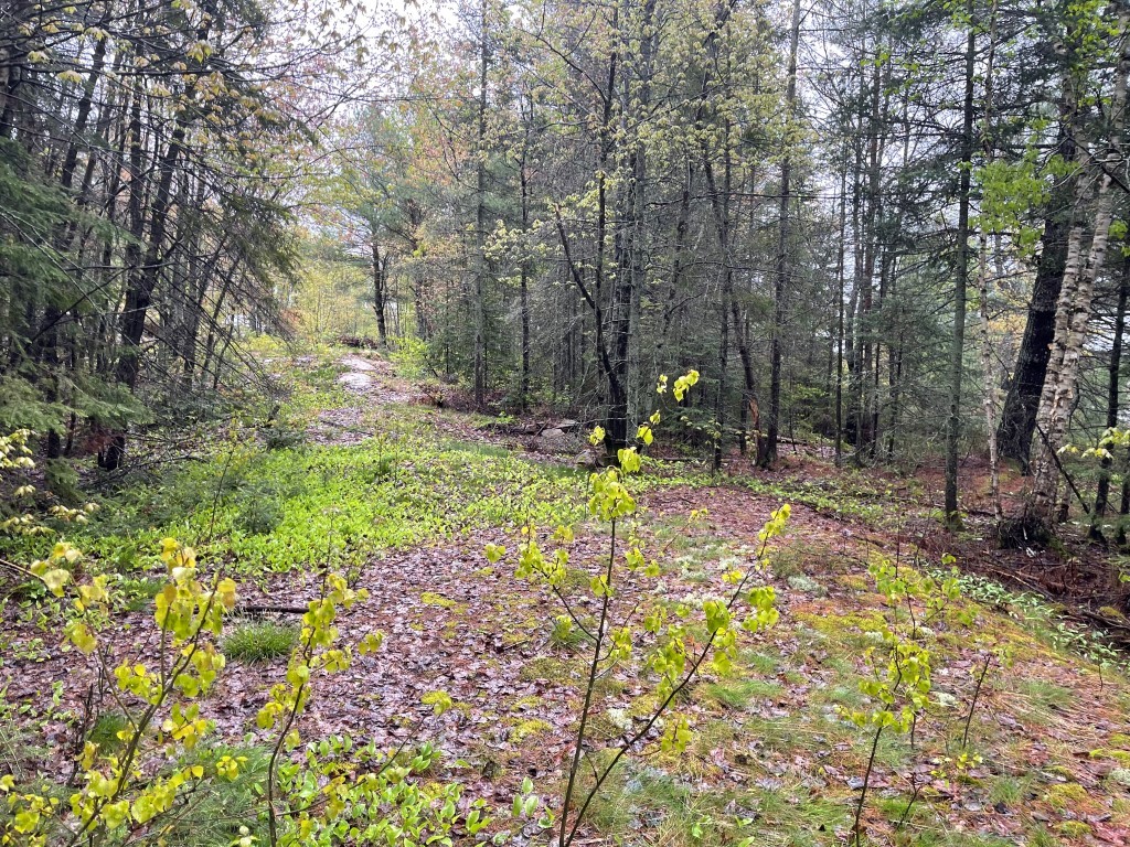 556 Hartley Bay Road, Killarney, Ontario  P0M 1A0 - Photo 23 - RP1322490833
