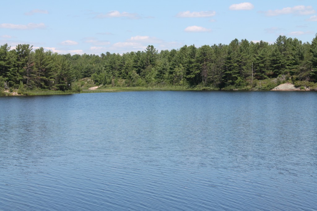 556 Hartley Bay Road, Killarney, Ontario  P0M 1A0 - Photo 27 - RP1322490833