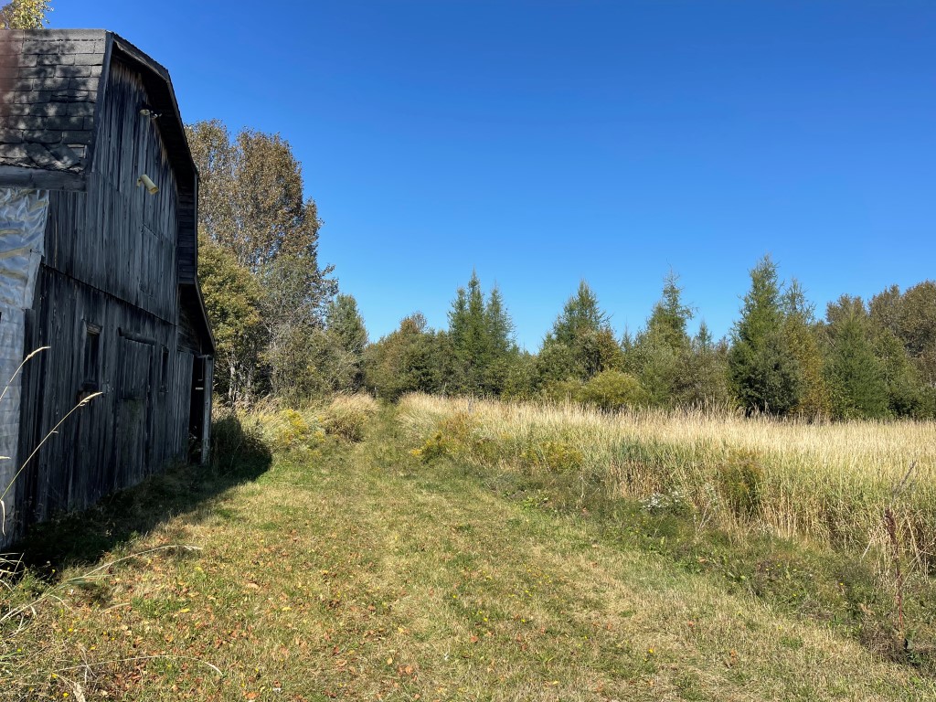 2855 Hwy 64, Noelville, Ontario  P0M 2N - Photo 17 - RP7882386028