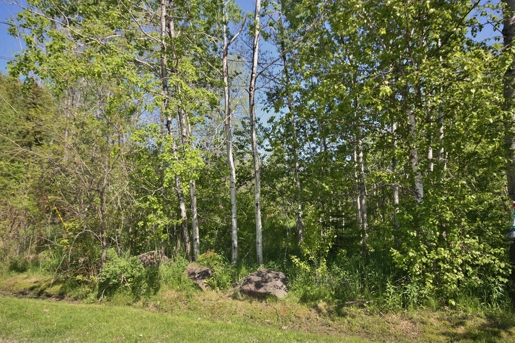 Add This To Your Collection For Life!, ..., Ontario    - Photo 2 - RP7917664616