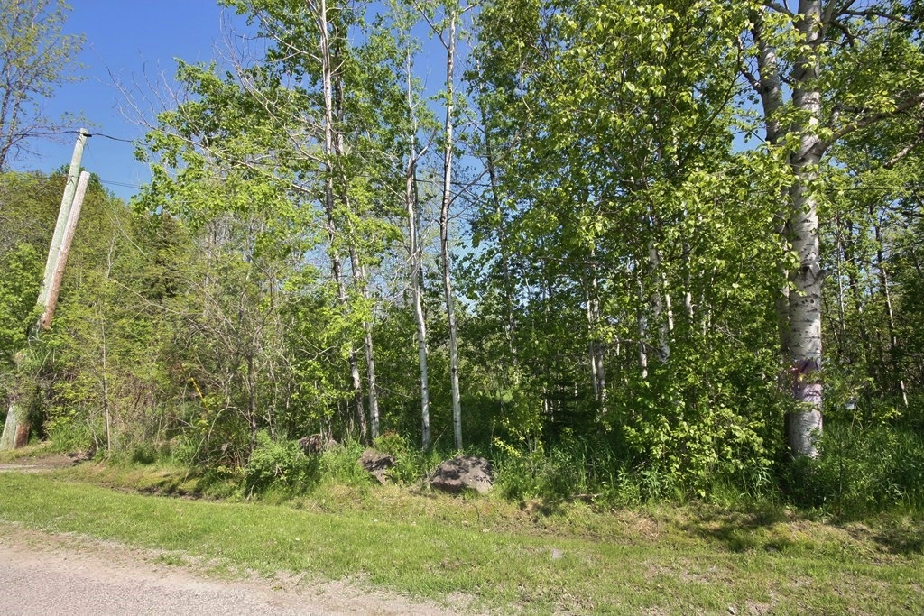 Add This To Your Collection For Life!, ..., Ontario    - Photo 3 - RP7917664616