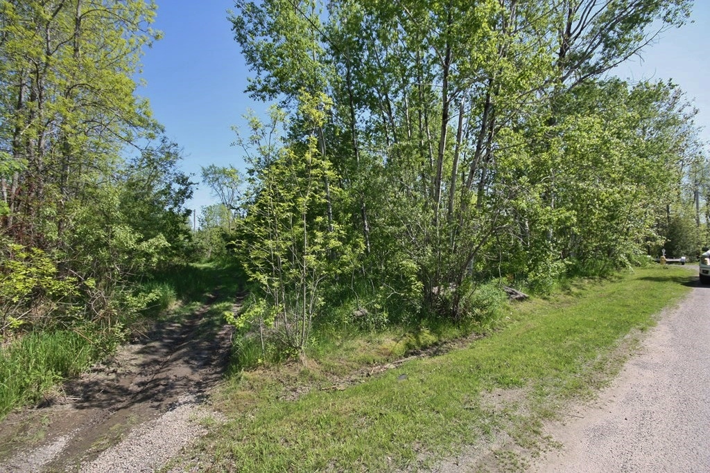 Add This To Your Collection For Life!, ..., Ontario    - Photo 5 - RP7917664616