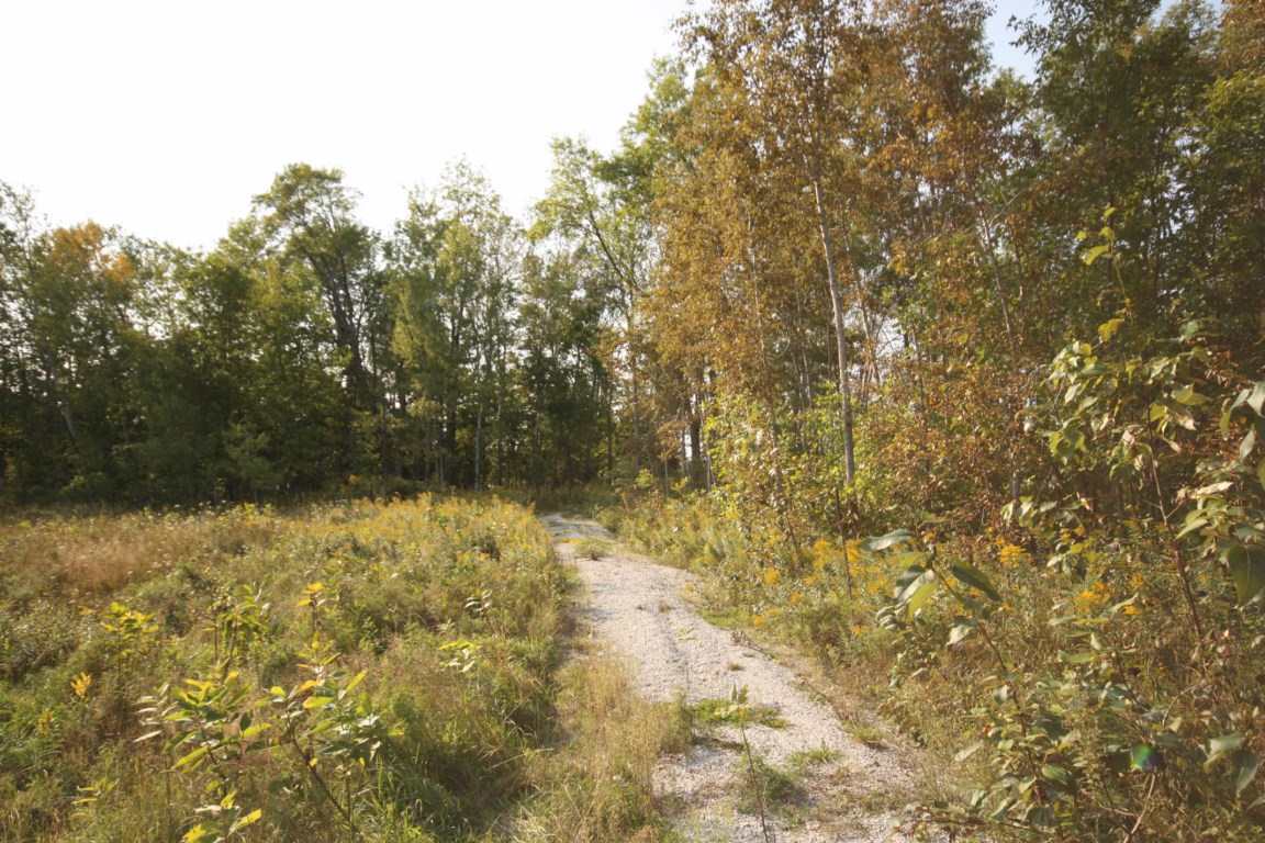 Opportunity Knocks , North Channel !! Lot 9, Ontario    - Photo 5 - RP3033059375