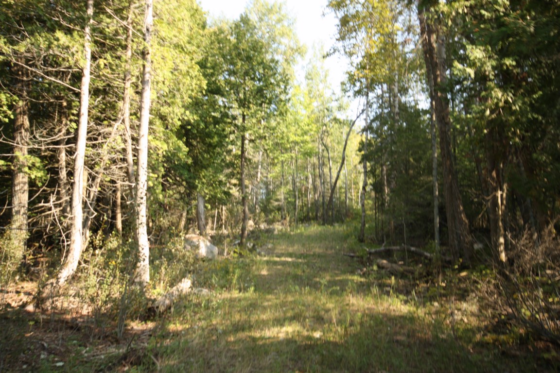 Opportunity Knocks , North Channel !! Lot 18, Ontario    - Photo 4 - RP9417803540