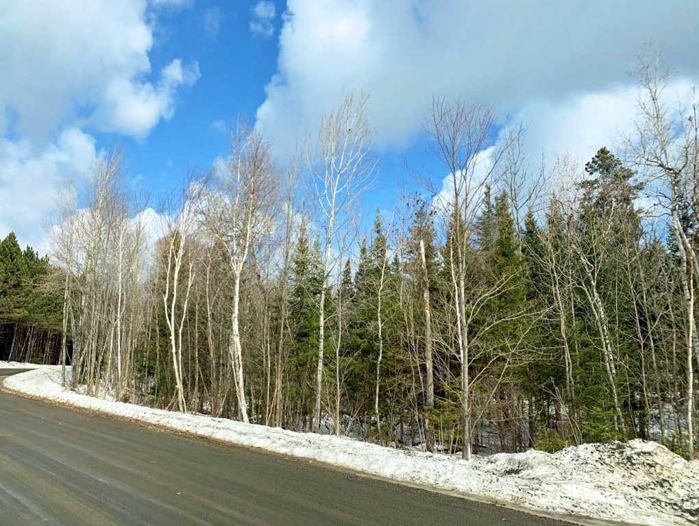 Investment Opportunity!,  .. The Perfect Lot!, Ontario    - Photo 1 - RP4978329962