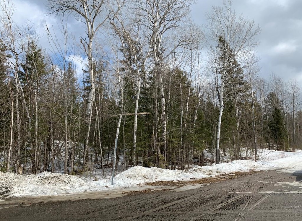 Investment Opportunity!,  .. The Perfect Lot!, Ontario    - Photo 2 - RP4978329962