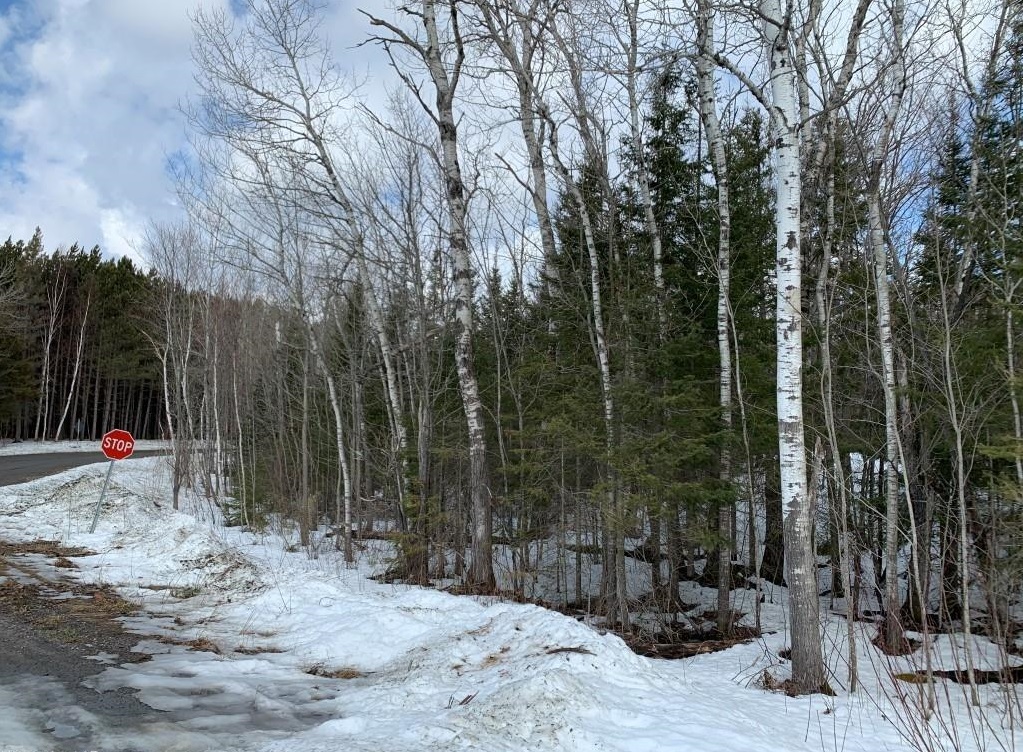 Investment Opportunity!,  .. The Perfect Lot!, Ontario    - Photo 3 - RP4978329962