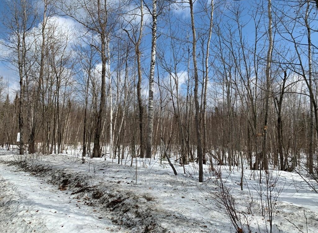 Investment Opportunity!,  .. The Perfect Lot!, Ontario    - Photo 5 - RP4978329962