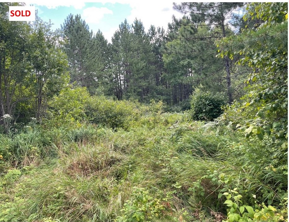 Great Opportunity, Hold, Build Or Invest, Ontario  P0M 2W0 - Photo 1 - CL8457524497