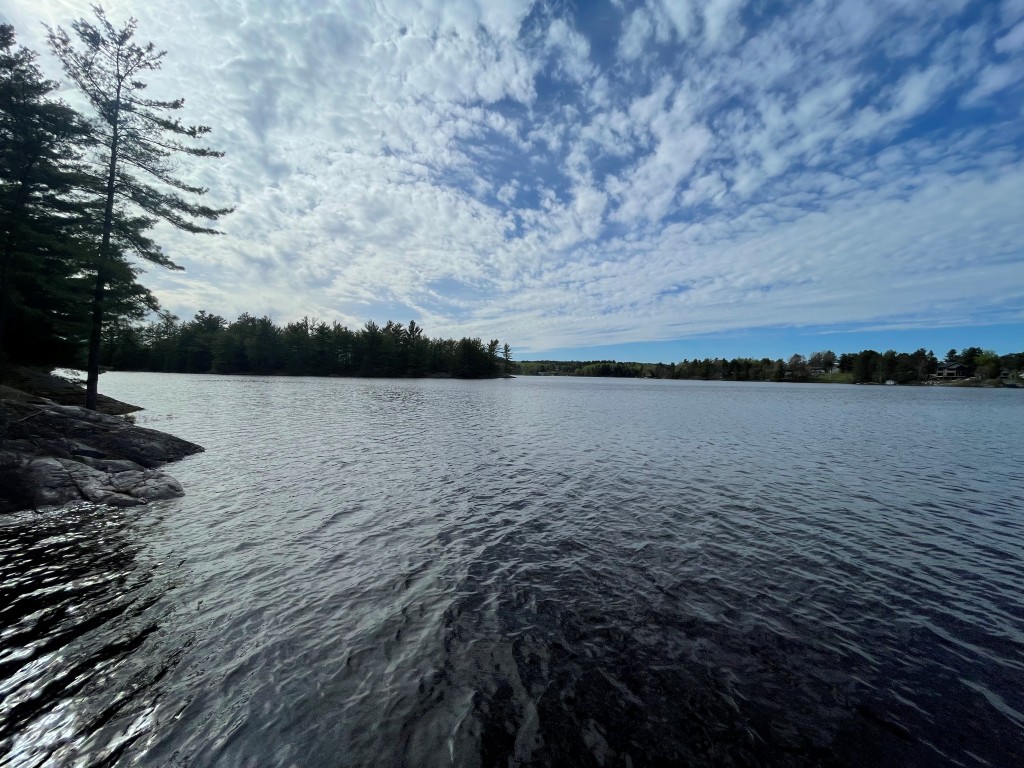 Welcome To “ Running Bears Den” , On The Famous French River, Ontario   - Photo 10 - RP977397658