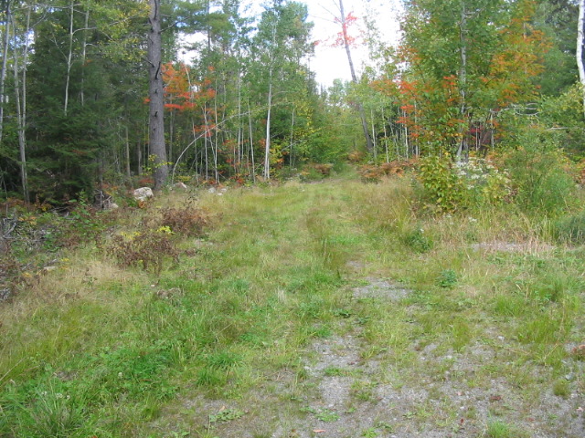 A Marriage Of Acreage, With Privacy!, Ontario    - Photo 3 - RP5310506193